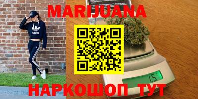 индика Будённовск